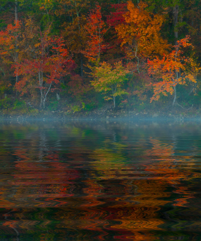 10036. Autumn foliage, Lake Maumelle, Arkansas