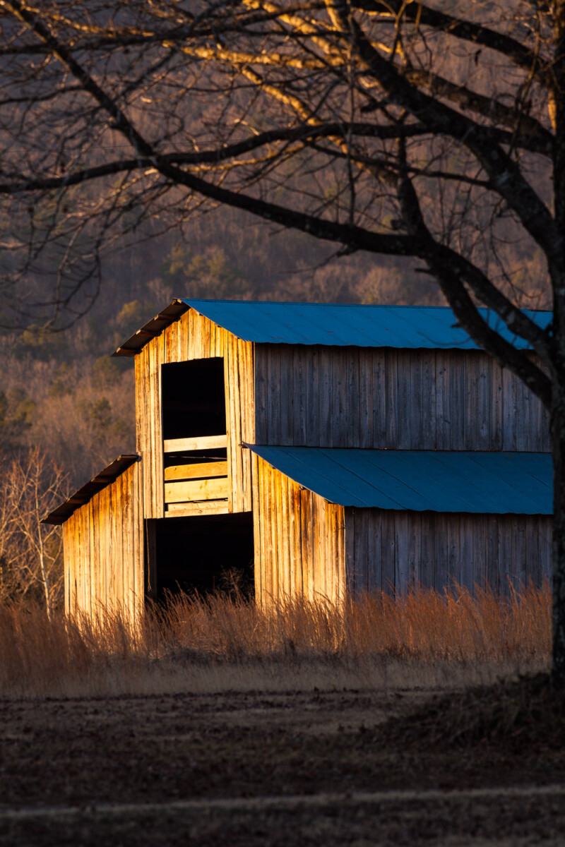 10055. Barn at sunrise, Heber Springs, ArkansasCanon 5D Mk II, 400mm, 1/160 sec, f/8