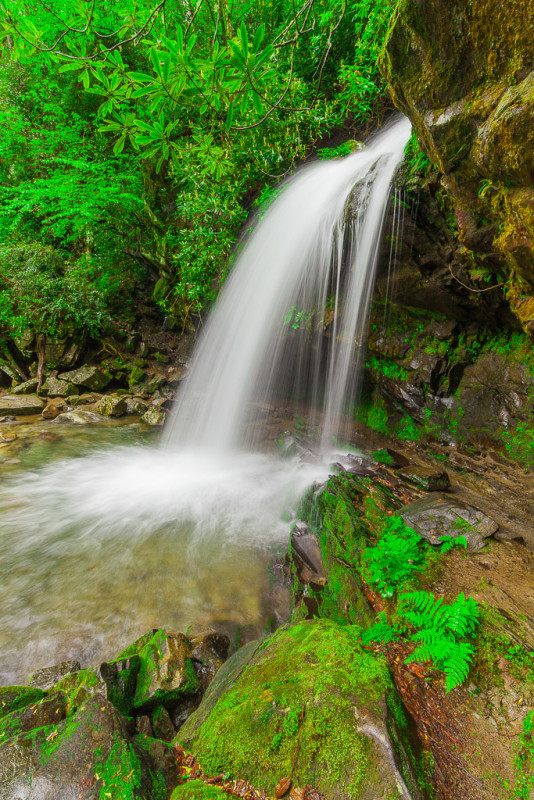 Grotto Falls, Great Smoky Mountains National Park, TennesseeCanon 5D Mk II, 1 sec, f/22