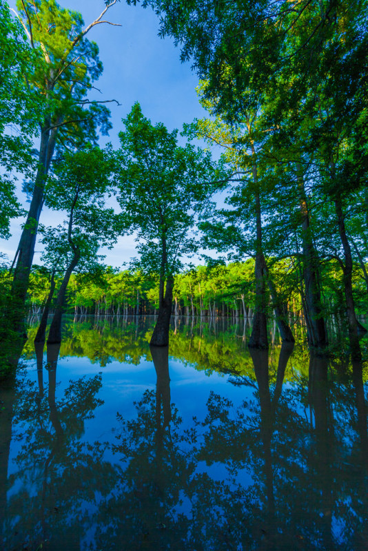 10151. Hickson Lake, Dagmar Wildlife Management Area, Arkansas