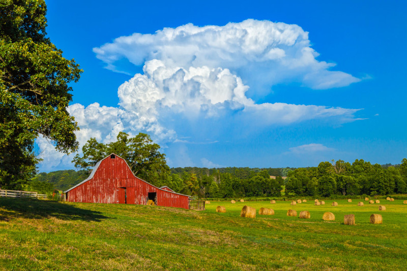 10181. Hay bales, barns, and thunderstorm cloud,Fayetteville, Arkansas