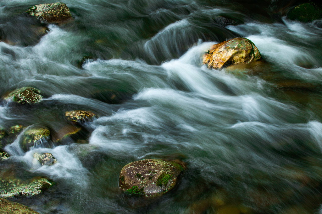 10017 Rocks flowing stream Great Smoky Mountains National Park Tennessee