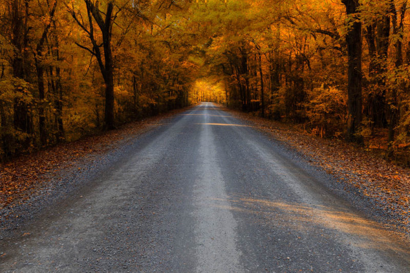 Country road Arkansas