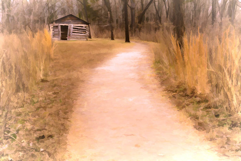 Old shed collier homestead arkansas