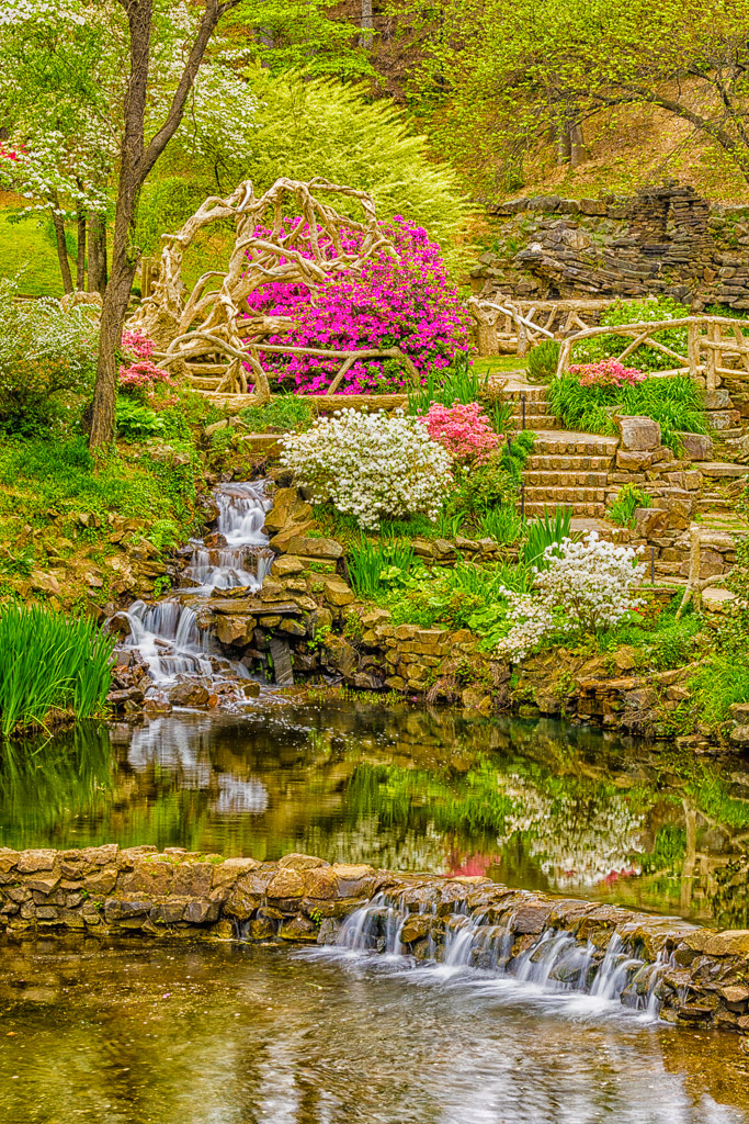 10706 Spring flowers, The Old Mill, Arkansas