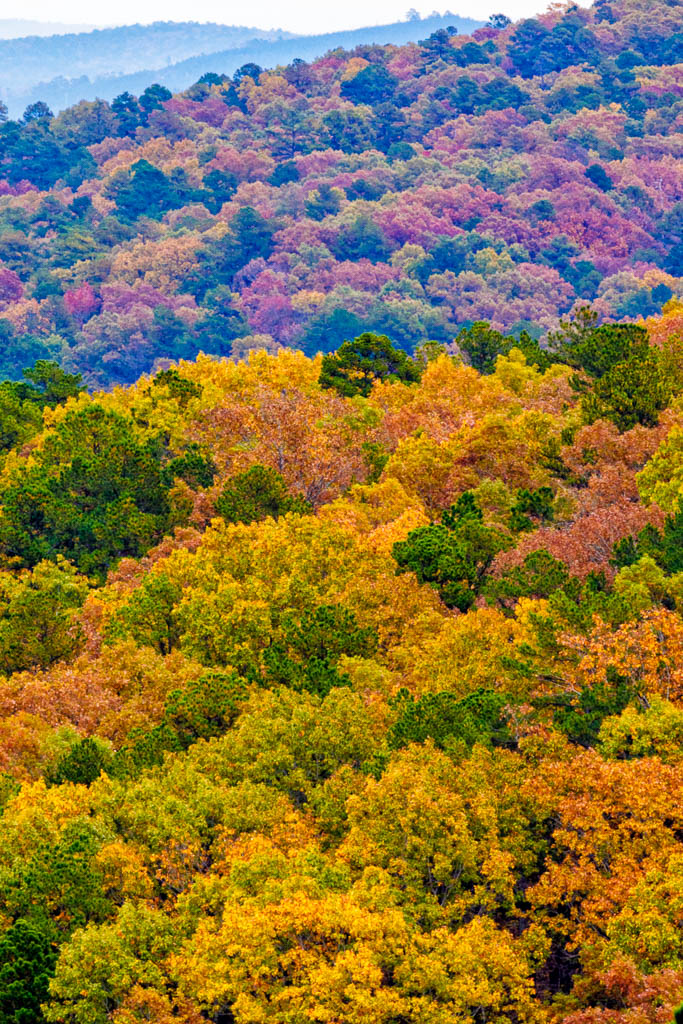 Ouachita National Forest - Bob Henry Photography